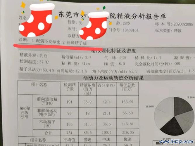 东莞专业助孕中介服务优势解析 东莞专业助孕中介服务优势解析
