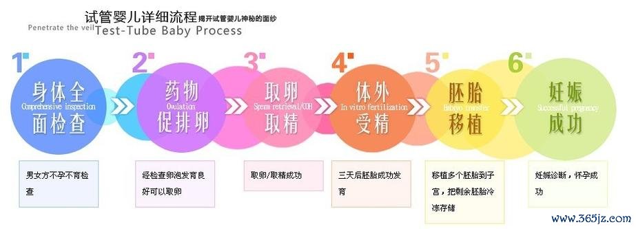 东莞试管婴儿专业机构日本高端助孕服务 东莞试管婴儿专业机构日本高端助孕服务