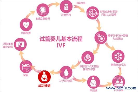 东莞试管婴儿助孕服务专业机构推荐