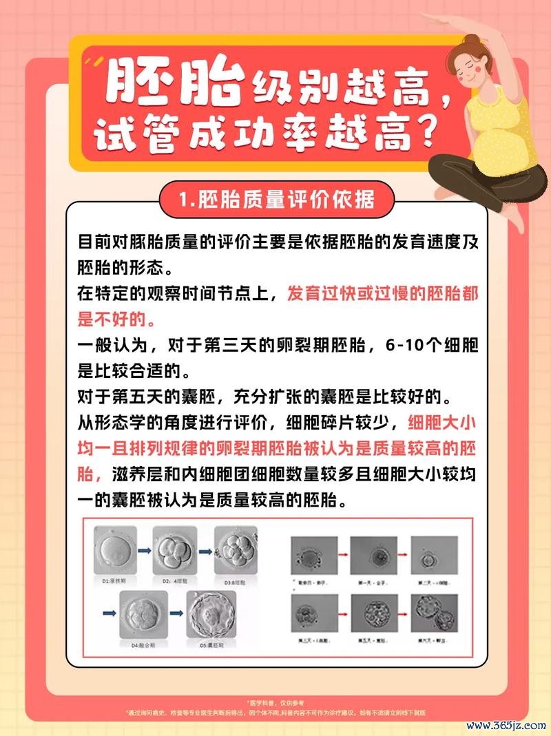 东营试管助孕科普视频详解及成功案例分享 东营试管助孕科普视频详解及成功案例分享
